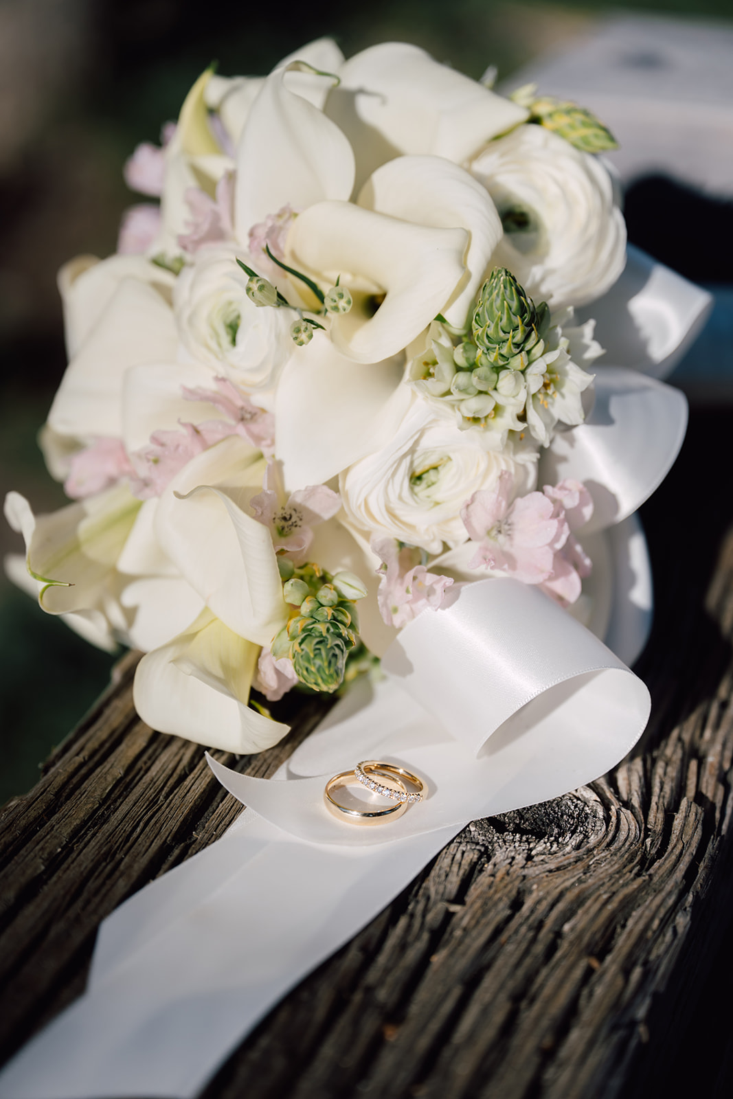 Suzanna & Benjamin wedding — highlights, photo 5